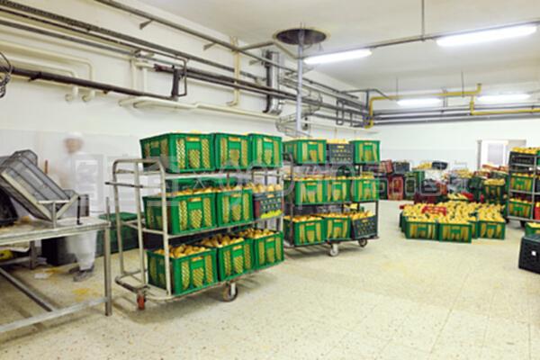 从生产线到餐桌 现代面包工厂如何塑造美味生活